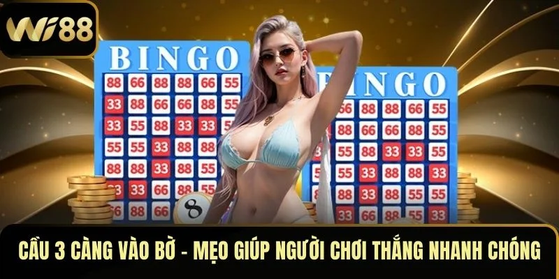 cầu 3 càng vào bờ