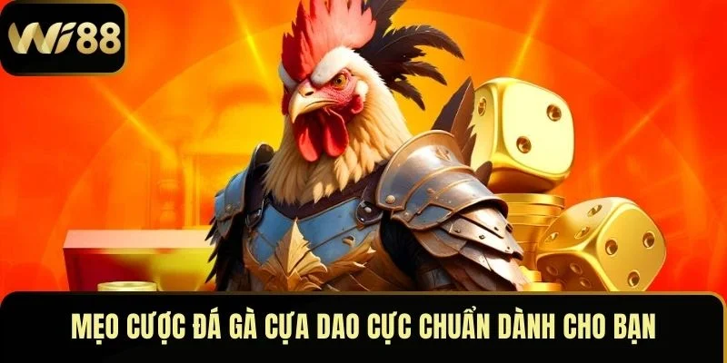 Mẹo cược đá gà cựa dao cực chuẩn dành cho bạn