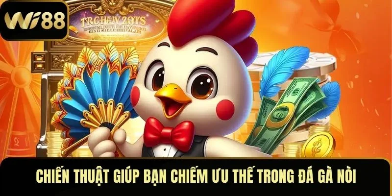 Đá Gà Nòi – Môn Thể Thao Đỉnh Cao Thu Hút Mọi Ánh Nhìn 5 Chiến thuật giúp bạn chiếm ưu thế trong đá gà nòi