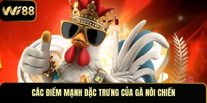 Đá Gà Nòi – Môn Thể Thao Đỉnh Cao Thu Hút Mọi Ánh Nhìn 3 Các điểm mạnh đặc trưng của gà nòi chiến