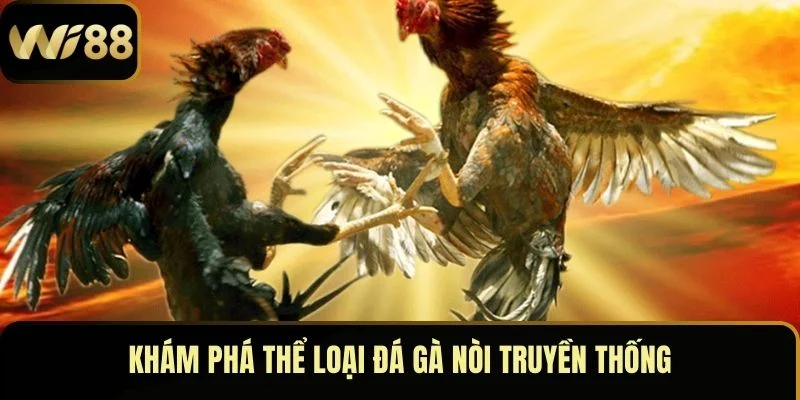 Đá Gà Nòi – Môn Thể Thao Đỉnh Cao Thu Hút Mọi Ánh Nhìn 2 Khám phá thể loại đá gà nòi truyền thống