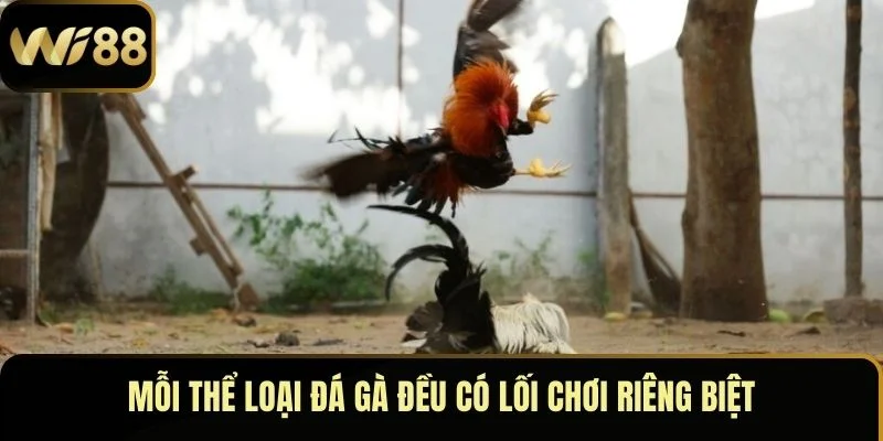 Mỗi thể loại đá gà đều có lối chơi riêng biệt