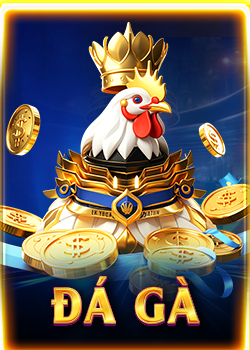 Wi88 banner đá gà