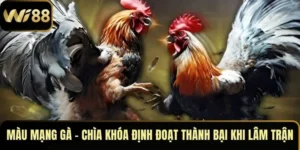 Màu Mạng Gà