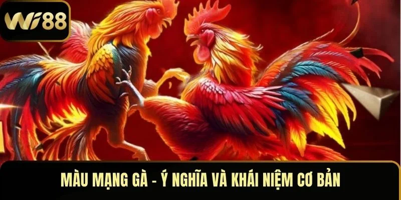 Màu Mạng Gà – Chìa Khóa Định Đoạt Thành Bại Khi Lâm Trận 2 Màu mạng gà – Ý nghĩa và khái niệm cơ bản