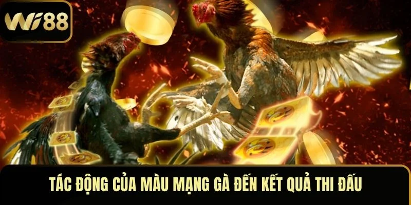 Màu Mạng Gà – Chìa Khóa Định Đoạt Thành Bại Khi Lâm Trận 3 Tác động của màu mạng gà đến kết quả thi đấu