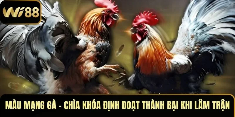 Màu Mạng Gà