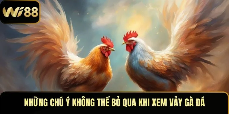Xem Vảy Gà Đá – Bí Quyết Nhận Biết Chiến Kê Xuất Sắc 5 Những chú ý không thể bỏ qua khi xem vảy gà đá