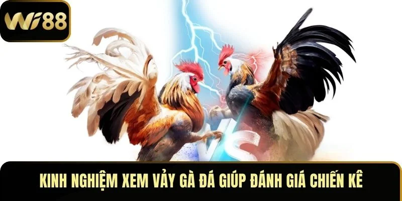 Xem Vảy Gà Đá – Bí Quyết Nhận Biết Chiến Kê Xuất Sắc 4 Kinh nghiệm xem vảy gà đá giúp đánh giá chiến kê